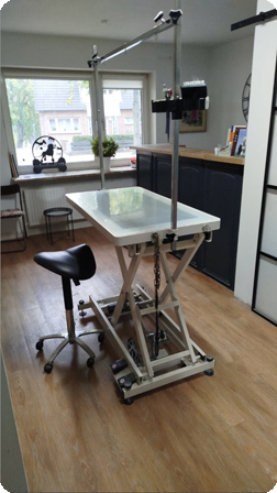 Hundefriseur in Lensahn-Ostholstein