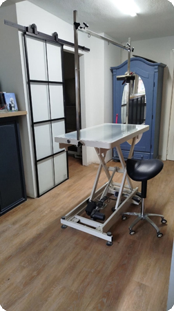 Hundesalon an der Ostsee in Lensahn